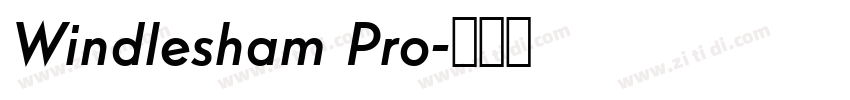 Windlesham Pro字体转换